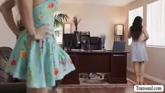 Play Lulu Chu and Ariel Demure in a Steamy Shemale Romp